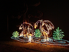 048 Toledo Zoo Light Show [2008 Dec 27]